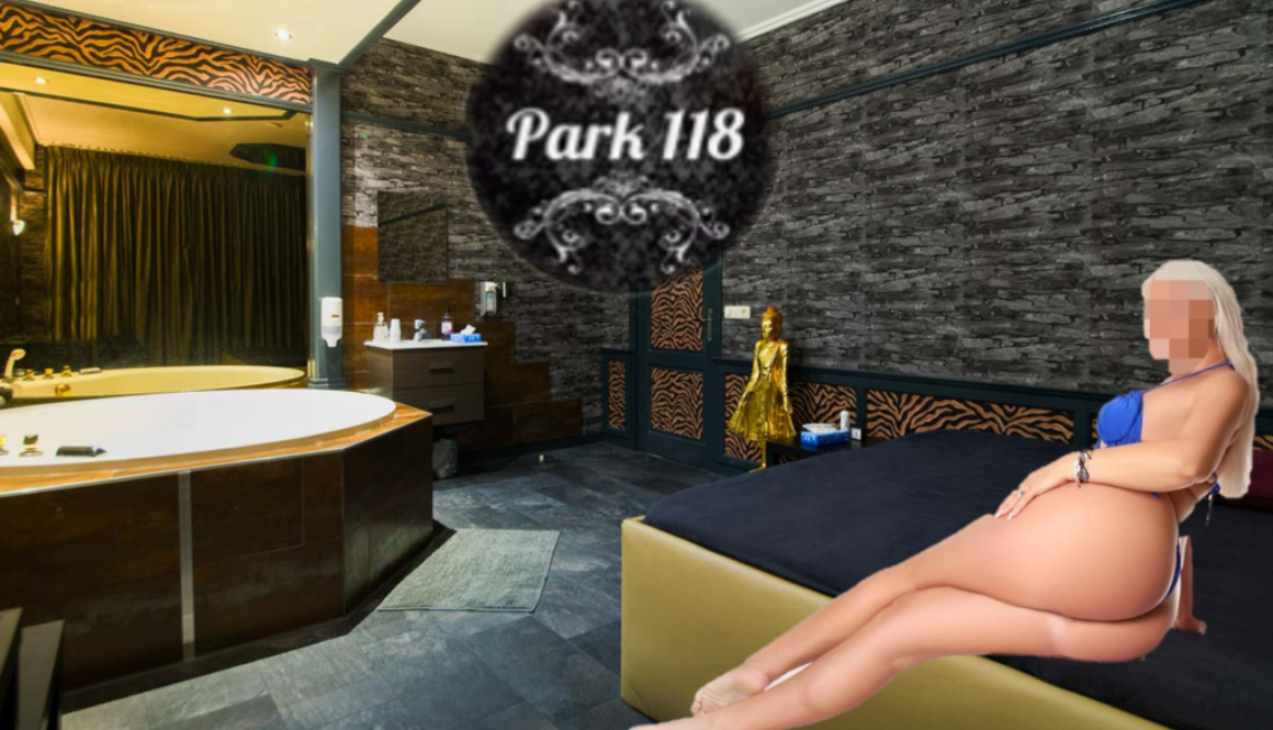 park 118 amsterdam brothel
